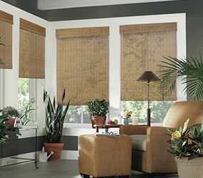 EZ-A: Motorized Woven Wood Shades